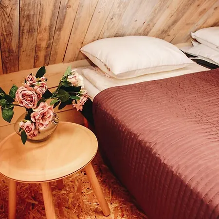 Loovaelja Guest house